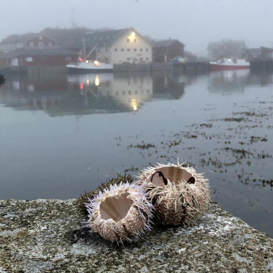 Laukvik Suites Exteriér fotografie